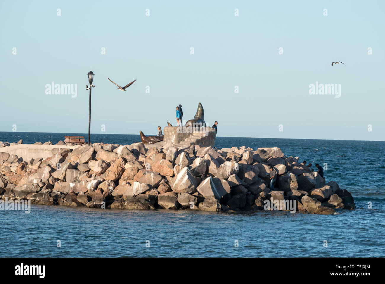 Famiglia, sea lion sculture e uccelli sul lungomare di Loreto, Baja California Sur, Messico. Foto Stock
