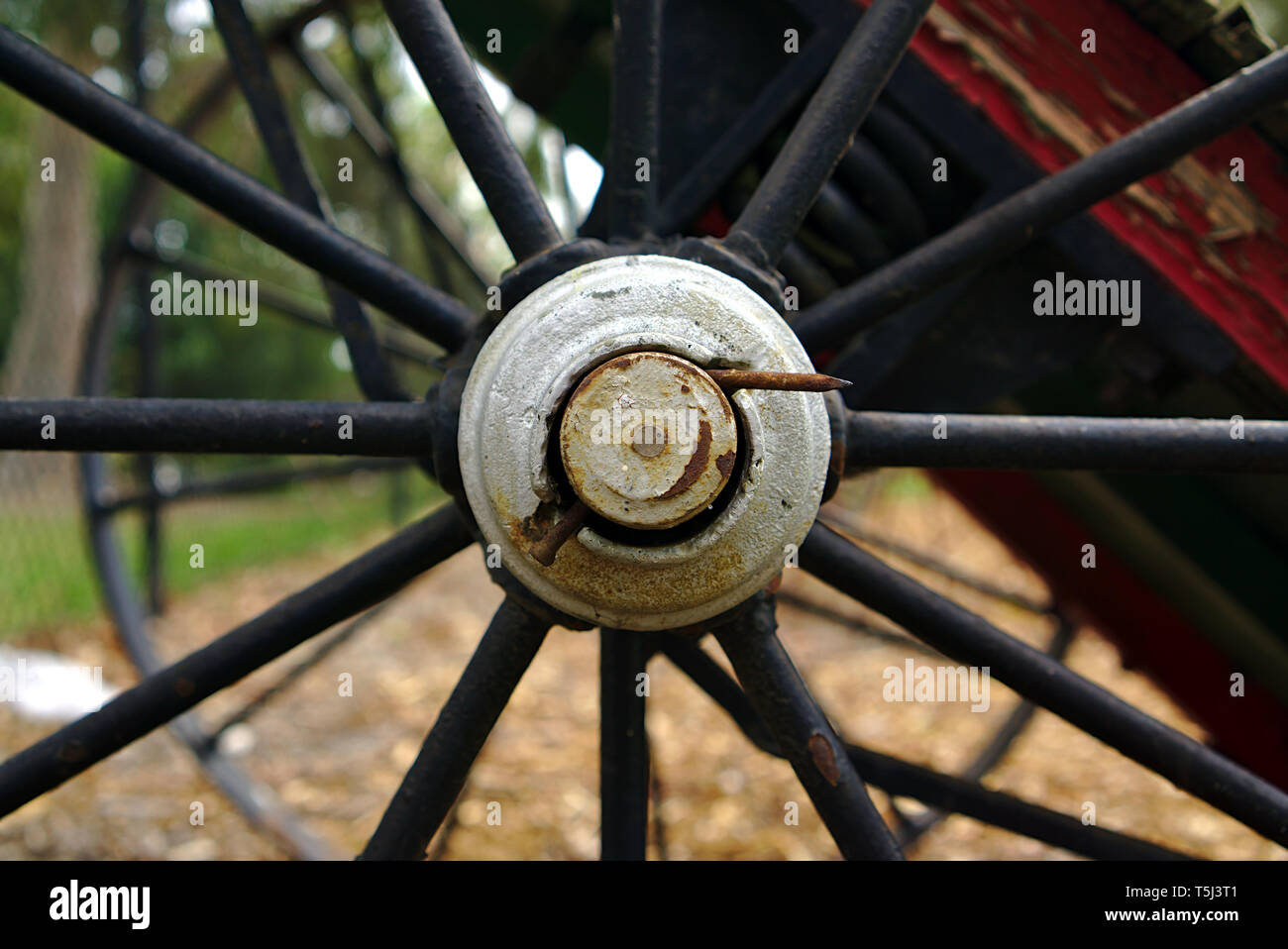 Vista centrale del vecchio abbandonato nero ruota di metallo dei macchinari agricoli dal XIX secolo Foto Stock