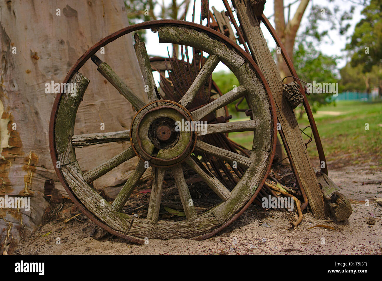 Vista ravvicinata della vecchia abbandonata ruota in legno dei macchinari agricoli dal XIX secolo Foto Stock