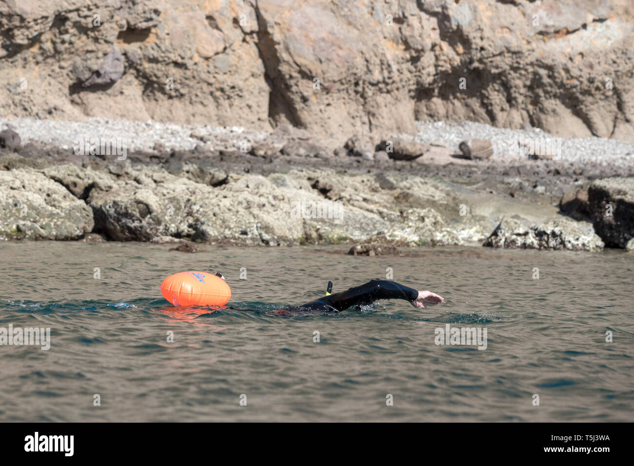 Lunga distanza nuotatore, Baia di Loreto Nat. Parco, Baja California Sur, Messico. Foto Stock