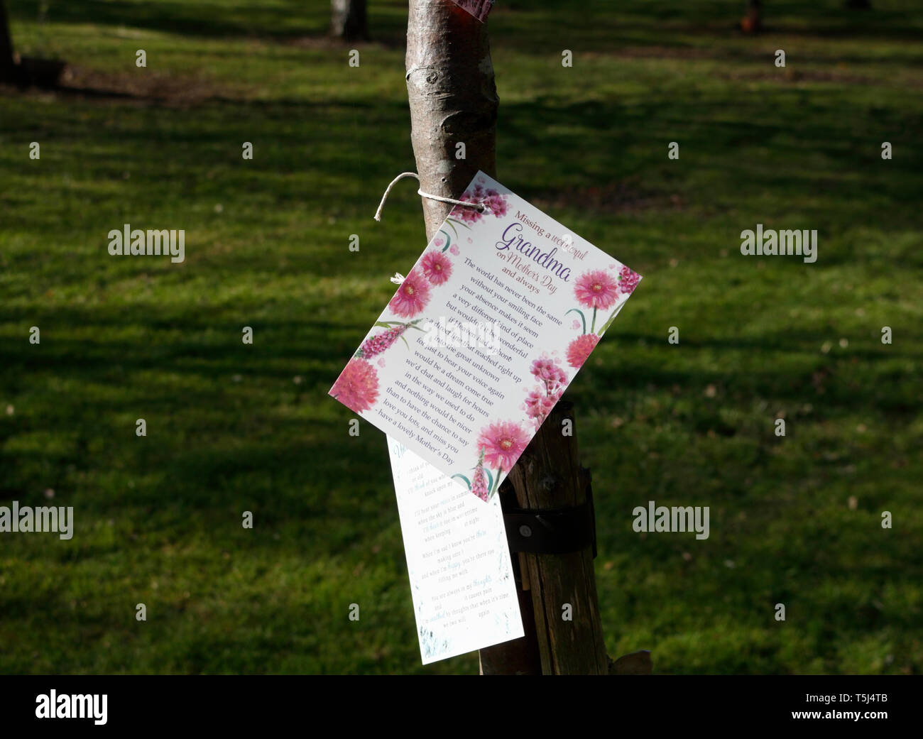 Easter Card per un defunto nonna, Abbey Lane cimitero Sheffield REGNO UNITO Foto Stock