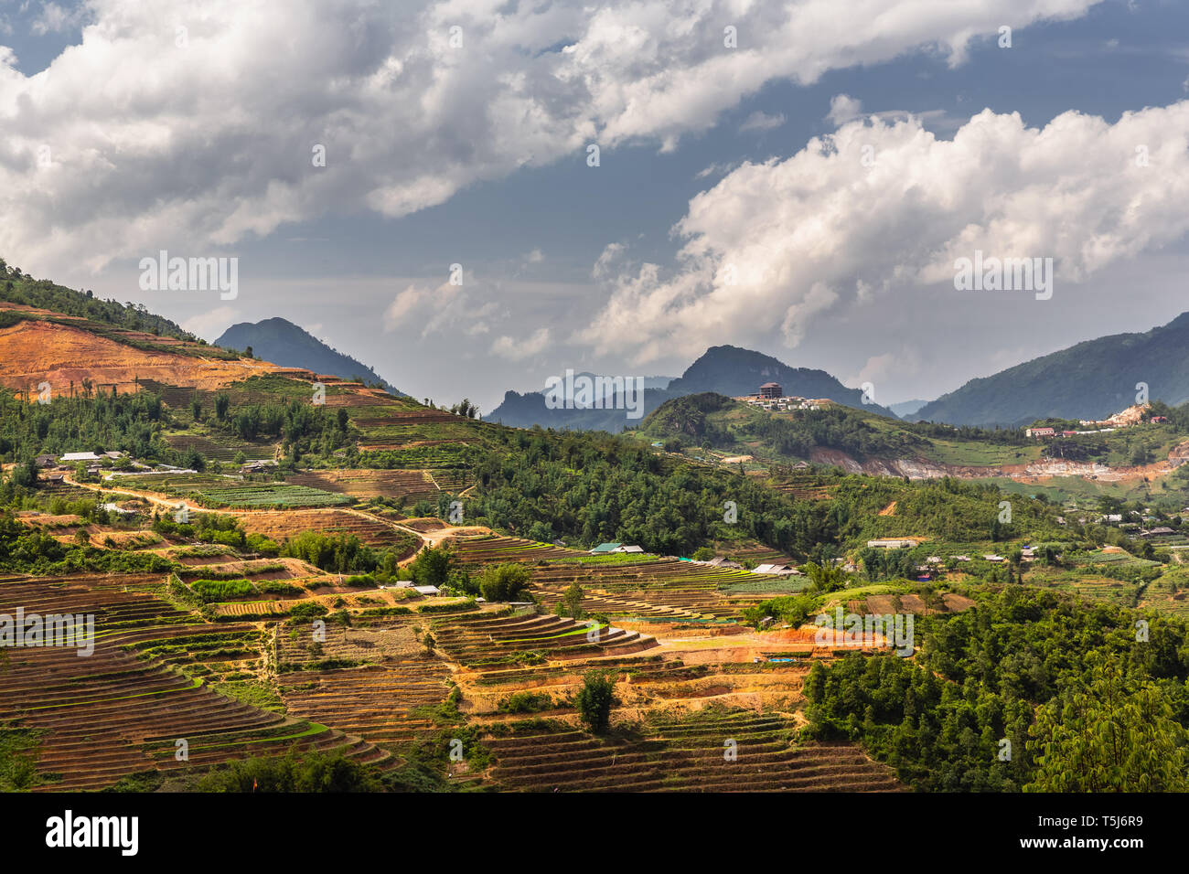 Rurale di riso terrazzati campo paesaggio della valle di sapa, il Vietnam Asia Foto Stock