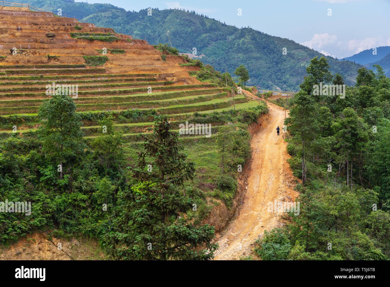 Rurale di riso terrazzati campo paesaggio della valle di sapa, il Vietnam Asia Foto Stock