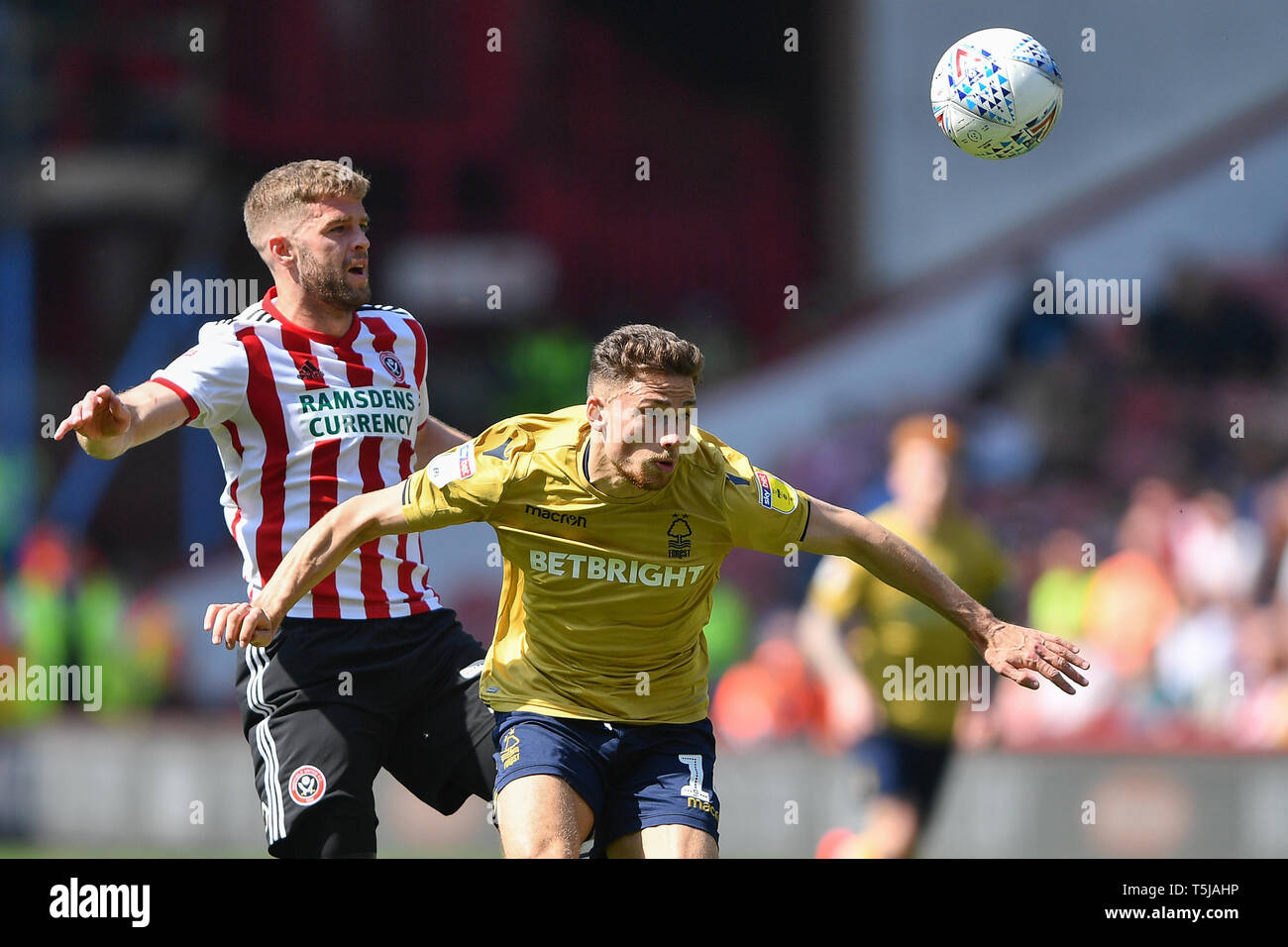 19 aprile 2019, Bramall Lane, Sheffield, Inghilterra; Sky scommessa campionato, Sheffield Regno vs Nottingham Forest ; Matteo in contanti (14) di Nottingham Forest Credito: Jon Hobley/News immagini English Football League immagini sono soggette a licenza DataCo Foto Stock