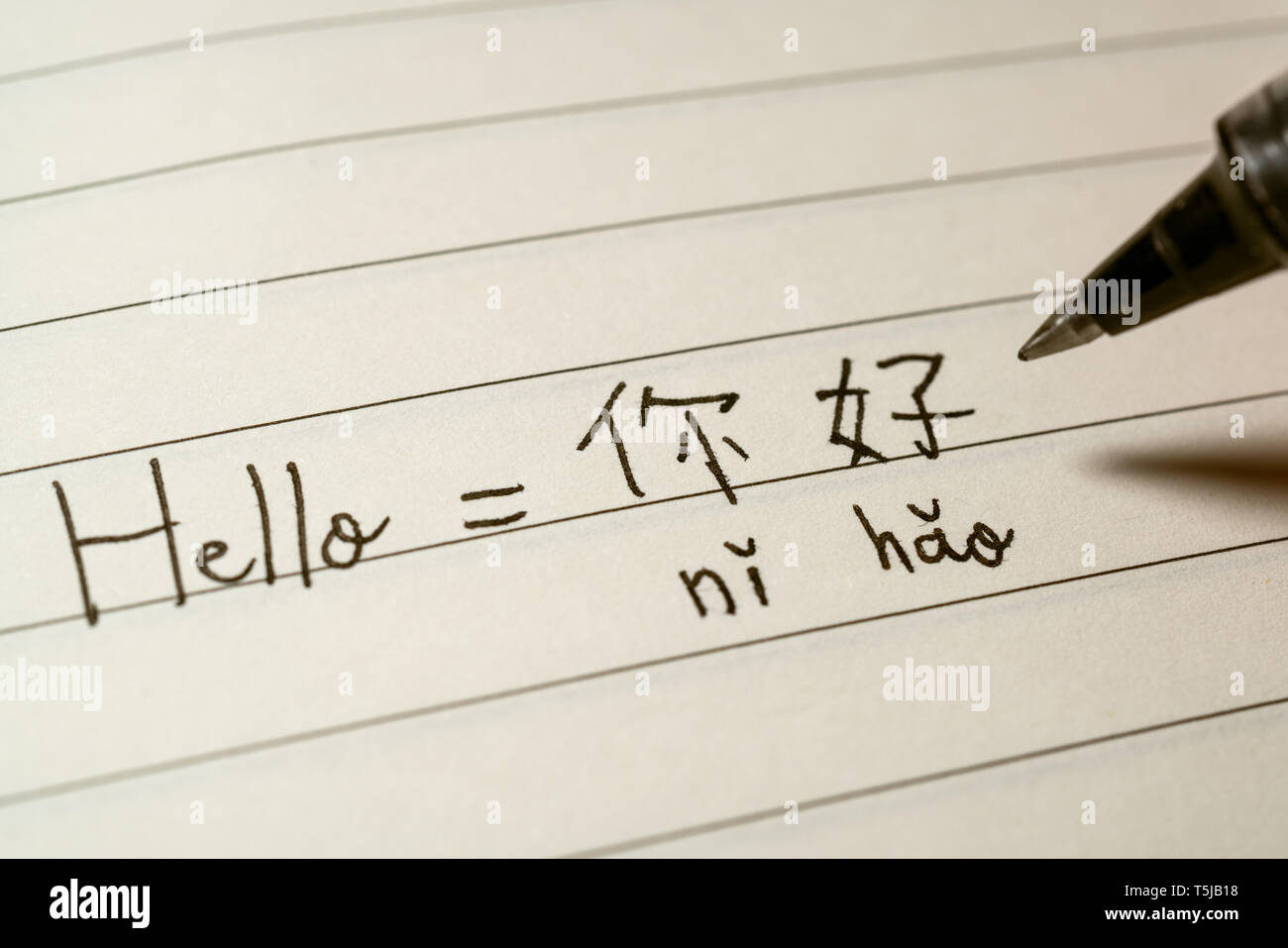 Principiante lingua cinese lo studente iscritto Hello Word Nihao in caratteri Cinesi e pinyin su un notebook di ripresa macro Foto Stock