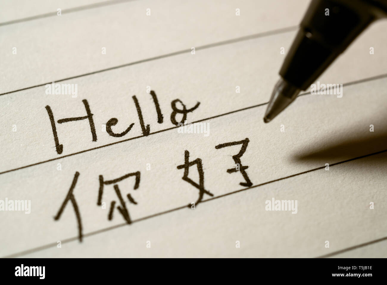 Principiante lingua cinese lo studente iscritto Hello Word in caratteri cinesi su un notebook di ripresa macro Foto Stock
