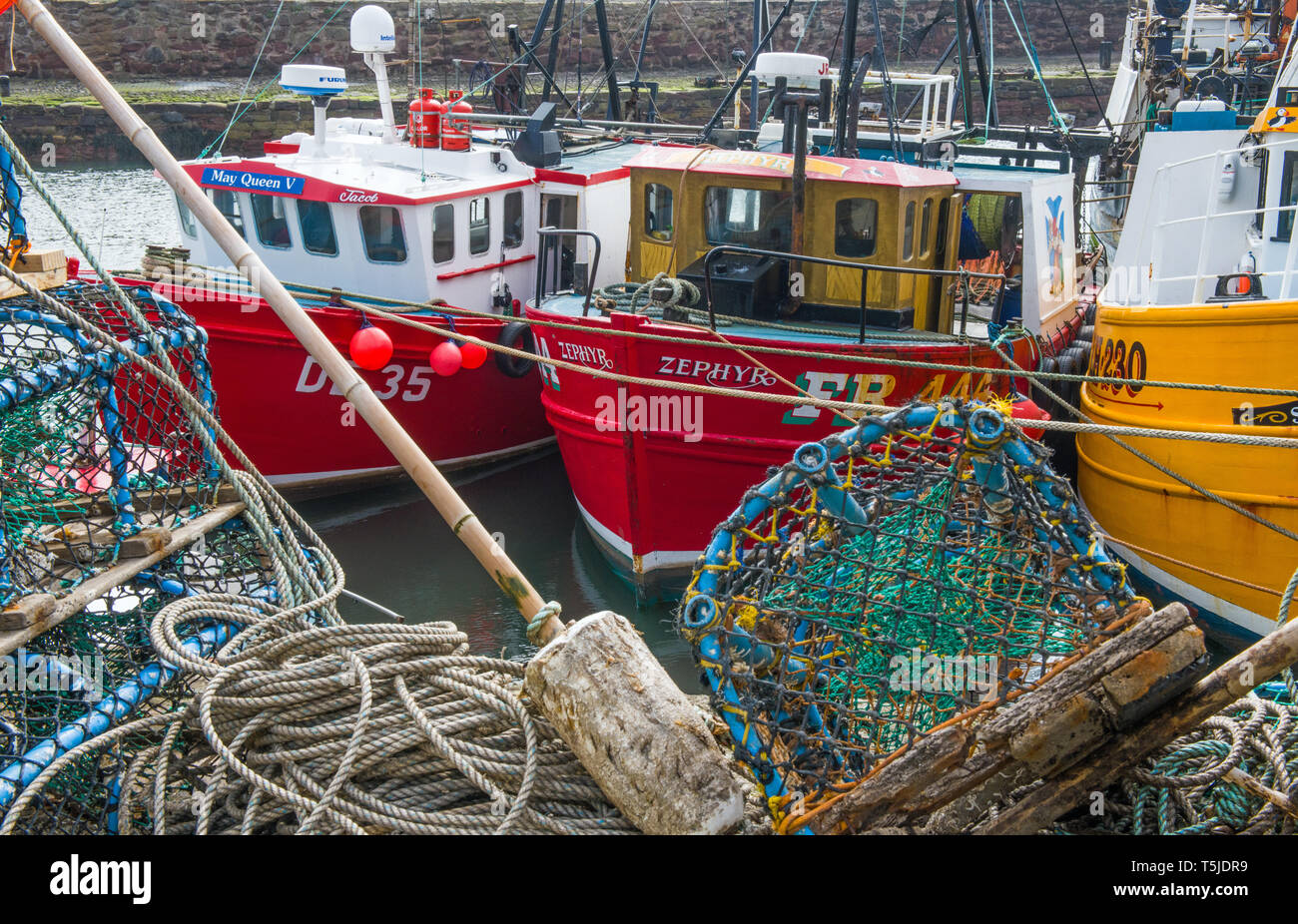 Il porto interno a Dunbar in East Lothian pieno di barche da pesca e reti e pentole sulla costa sud est della Scozia Foto Stock
