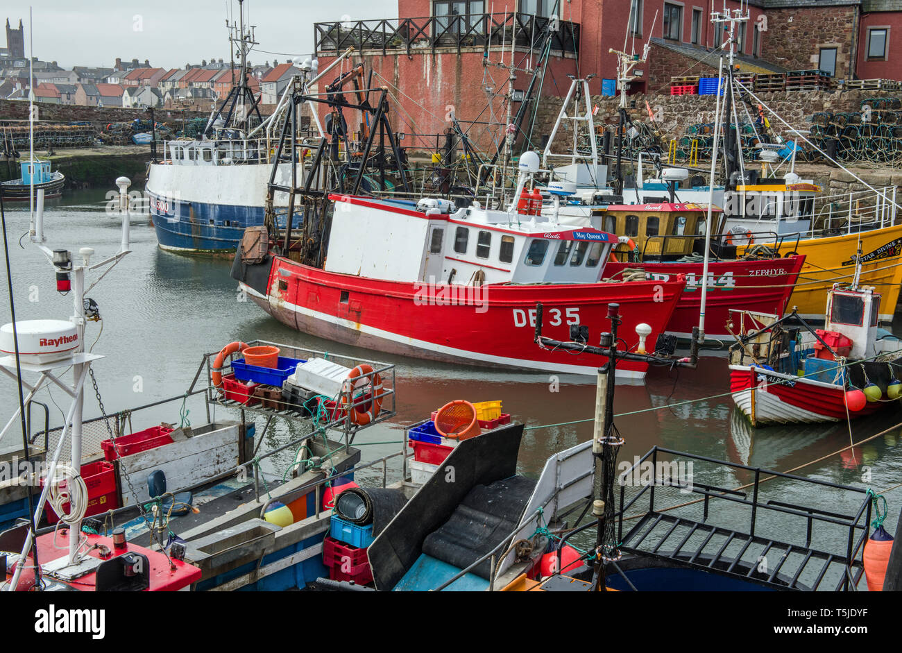 Il porto interno a Dunbar in East Lothian pieno di barche da pesca e reti e pentole sulla costa sud est della Scozia Foto Stock