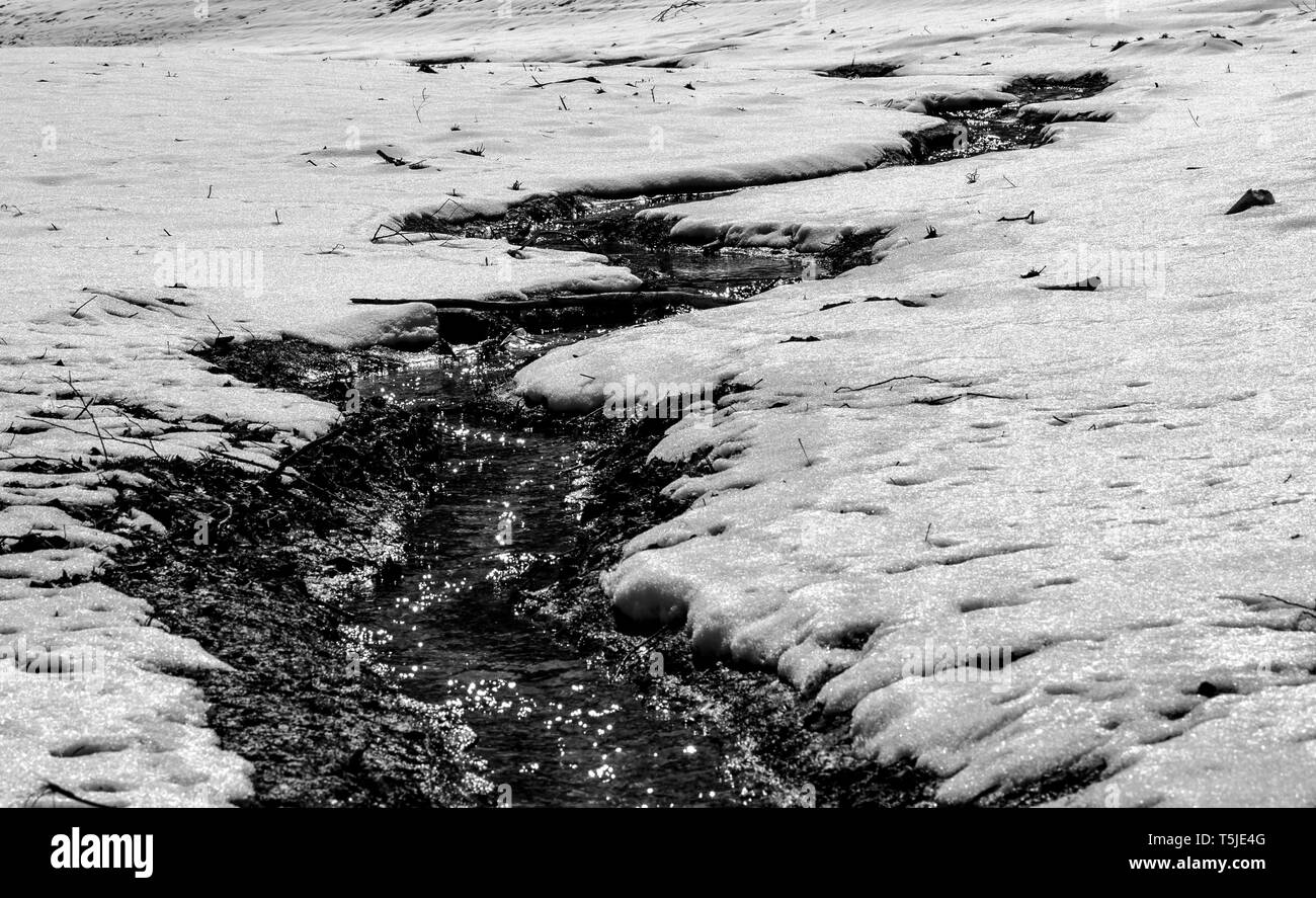 Il disgelo piccolo trafilamento in terreno innevato delle Alpi in Europa in un freddo giorno di inverno evidenziato dal sole Foto Stock