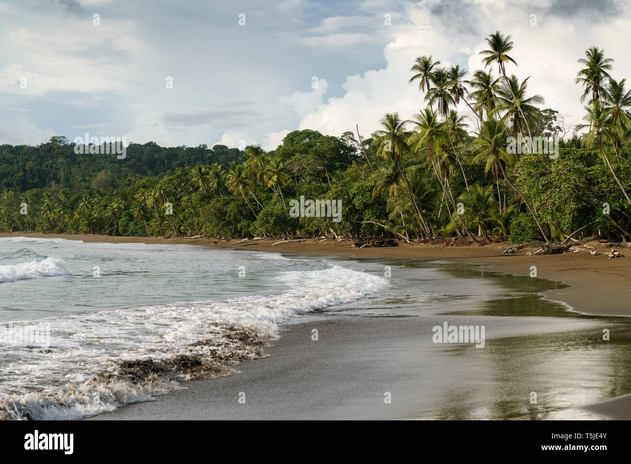 Spiaggia naturale nel sud della Costa Rica vicino al parco nazionale di Corcovado. Rincón de San Josecito, Agujitas de Drake, Provincia Puntarenas, Costa Rica Foto Stock