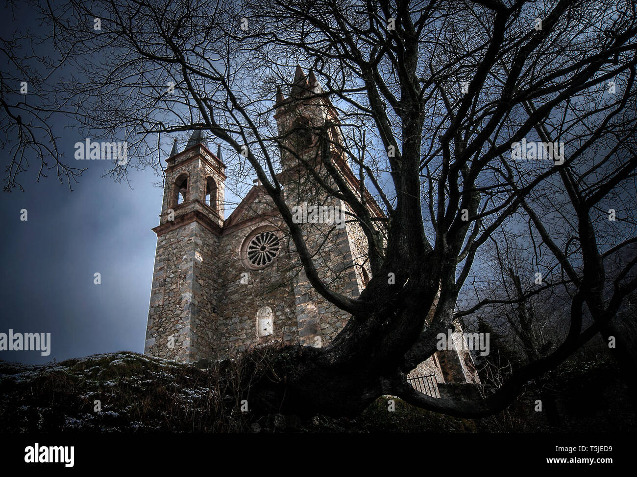 Il castello medievale di età romanica con il vecchio albero morto Foto Stock