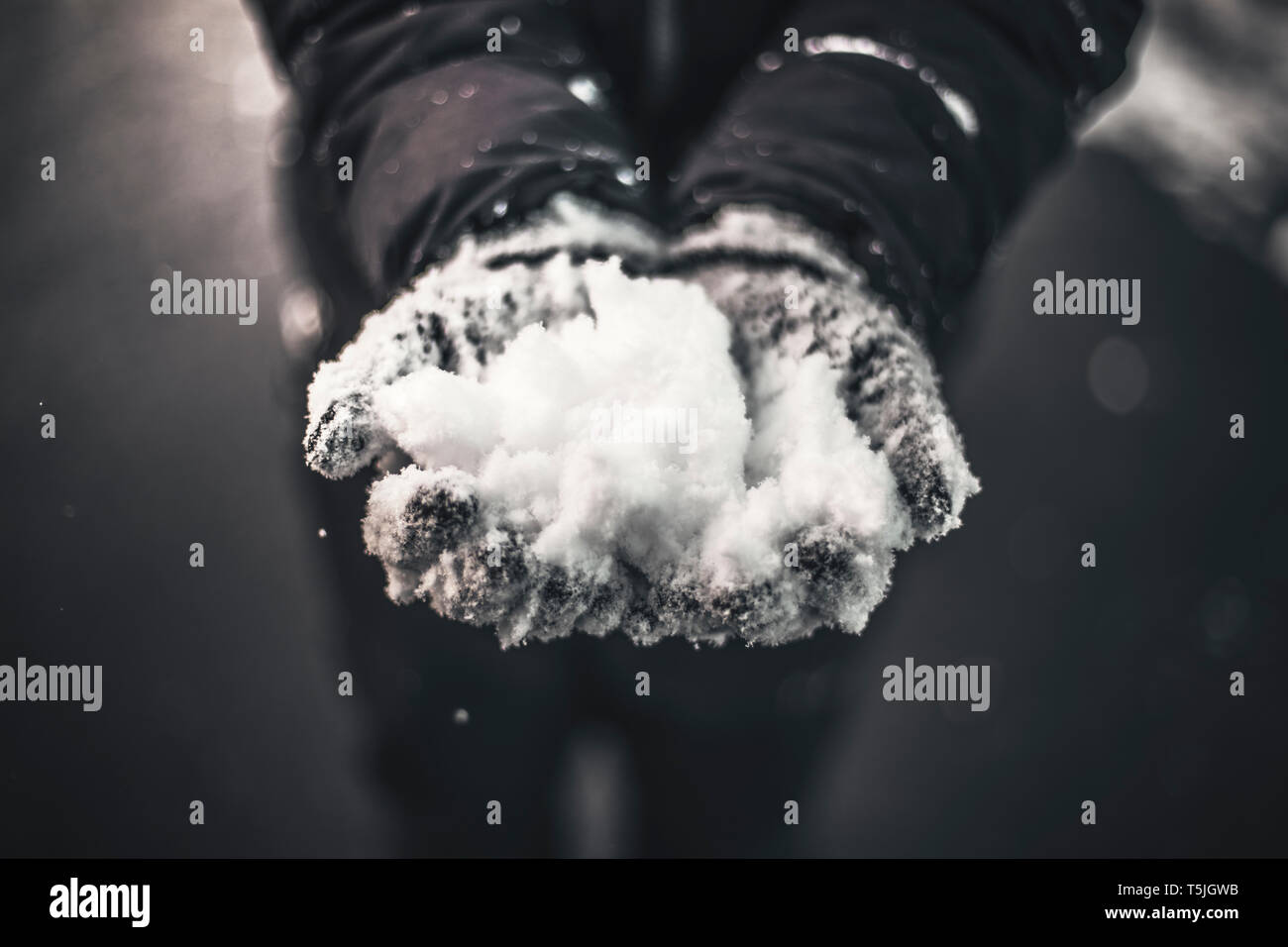 Close-up di mani con guanti la cattura di neve Foto Stock