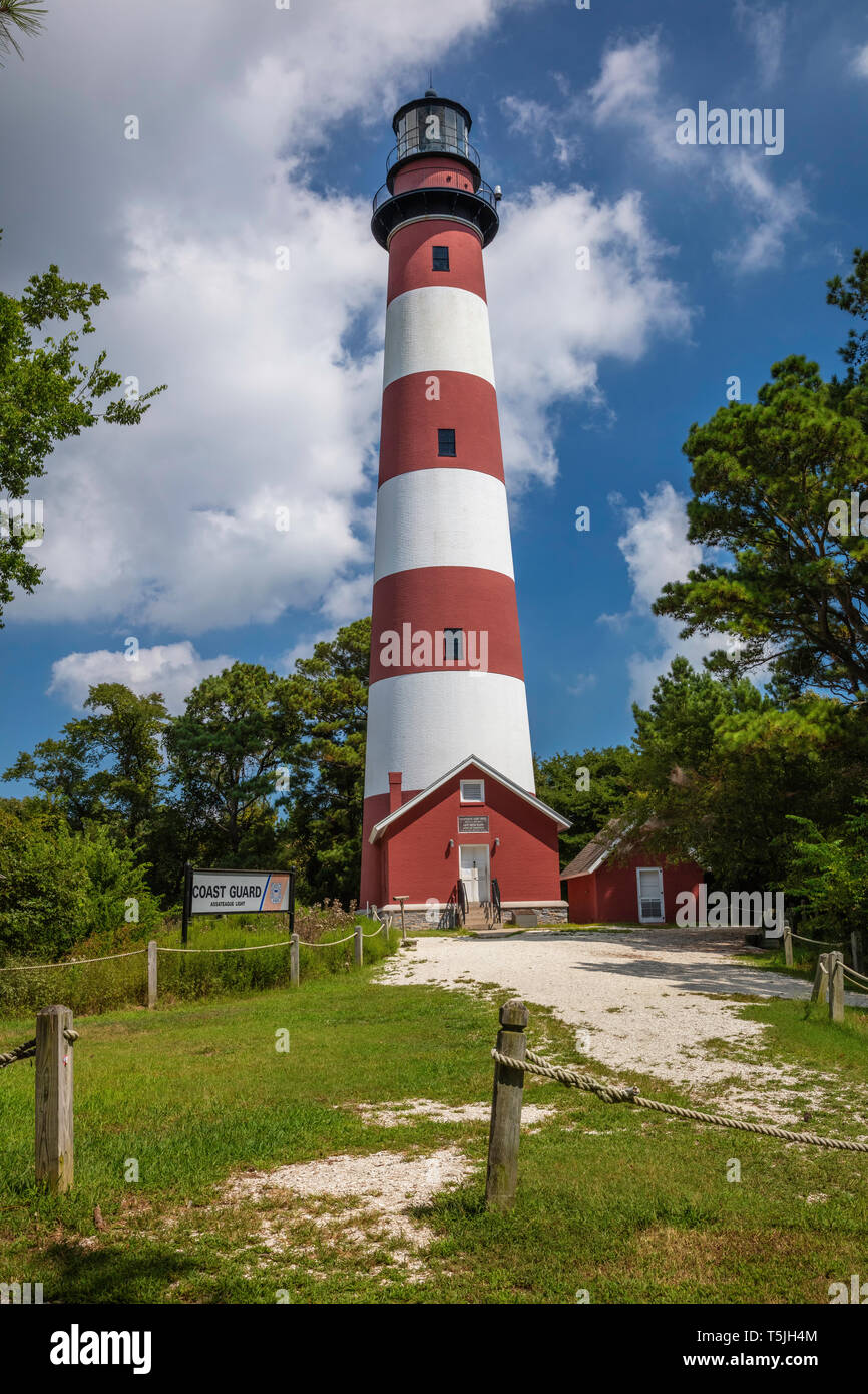 Assateague faro, Assateague Island National Seashore, Virginia Foto Stock