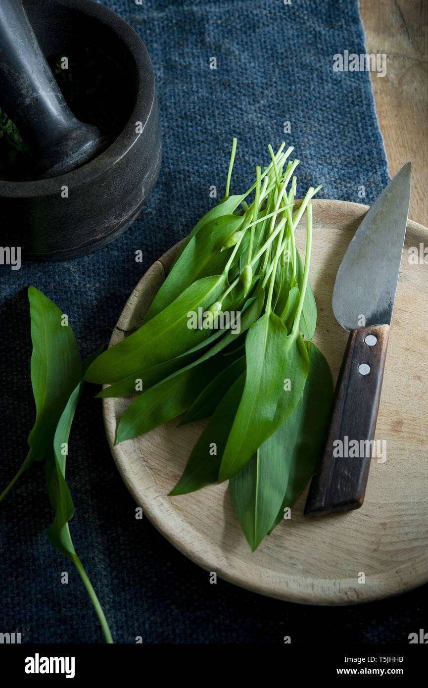 Ramson e coltello sulla tavola di legno, malta e una ciotola di pinoli Foto Stock