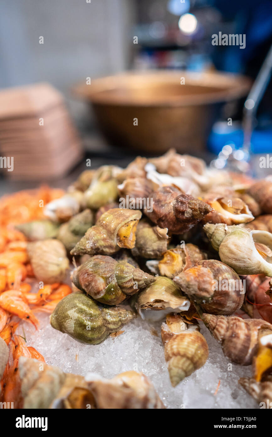 Piatti a base di frutti di mare freschi mercato mostrano Spotted Babilonia Foto Stock