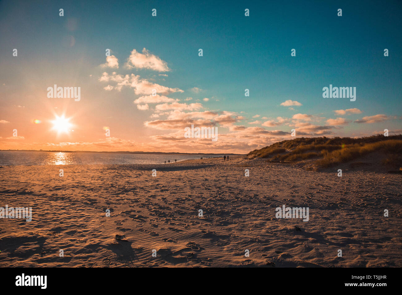 Germania Sylt, Schleswig Holstein Wadden Sea National Park, Spiaggia, Tramonto, luce della sera, patrimonio mondiale Unesco sito naturale Foto Stock