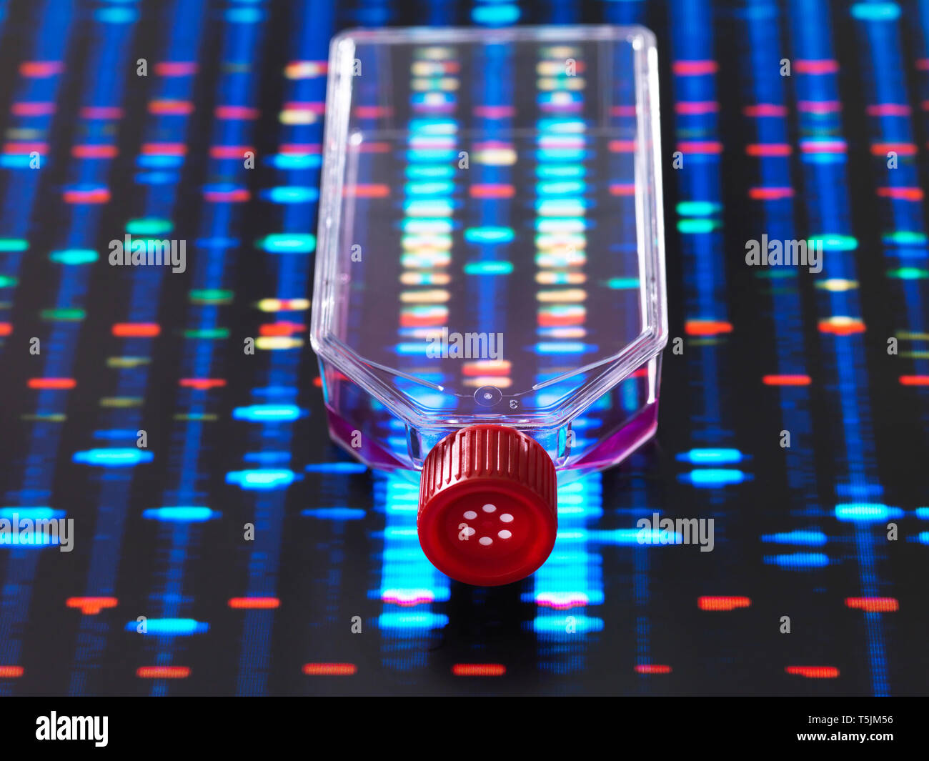 L ingegneria genetica, cultura jar con un DNA profili su una schermata di sfondo, che illustra la modifica genetica Foto Stock