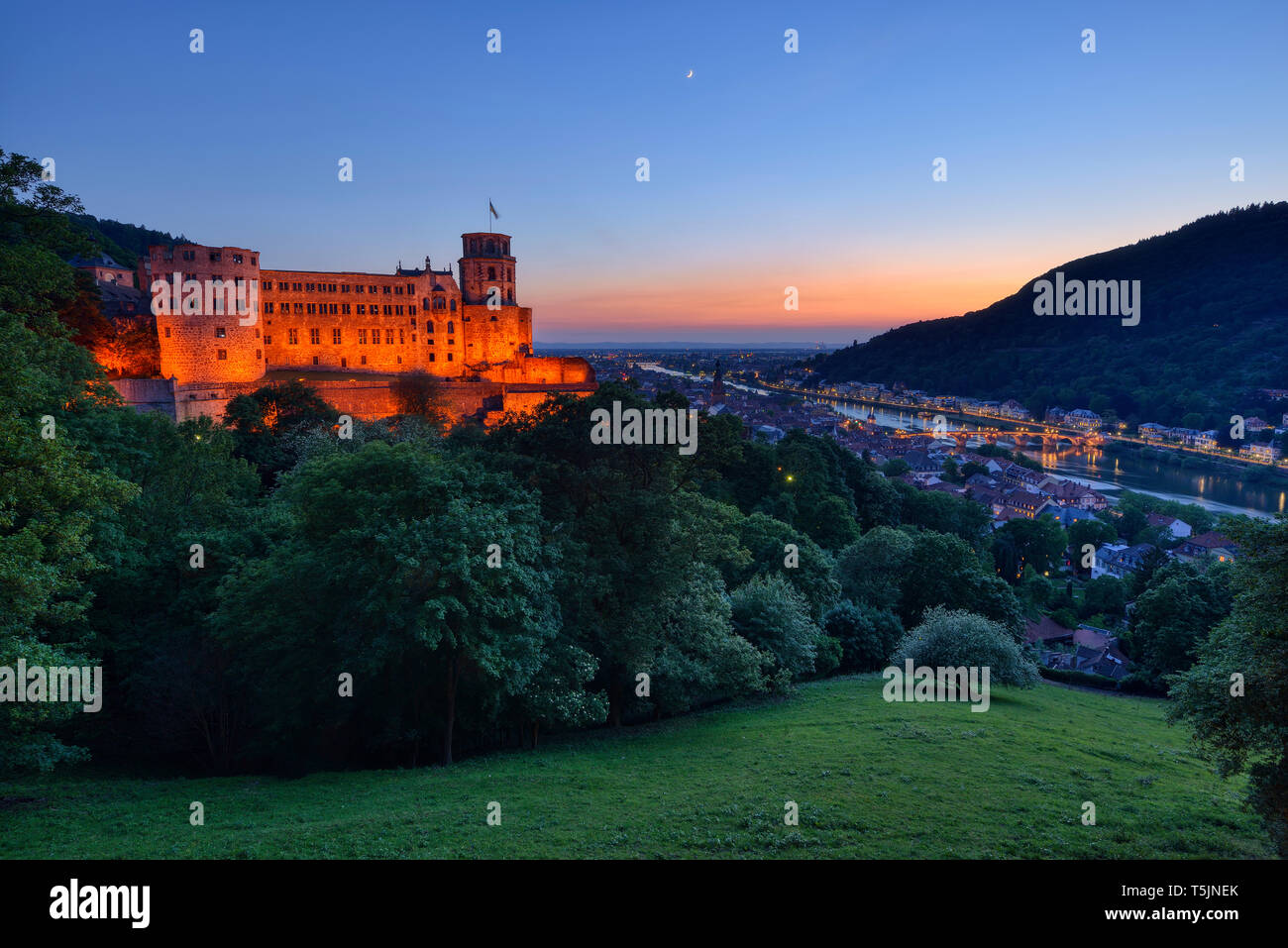 Il castello di Heidelberg con il fiume Neckar e Ponte Vecchio, comandò a. Wurttemberg, Germania Foto Stock