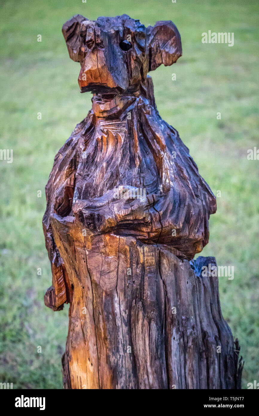 Lago Texoma, TX, Stati Uniti d'America - 18 Maggio 2018: una straordinaria scultura in legno dal tronco di un albero Foto Stock
