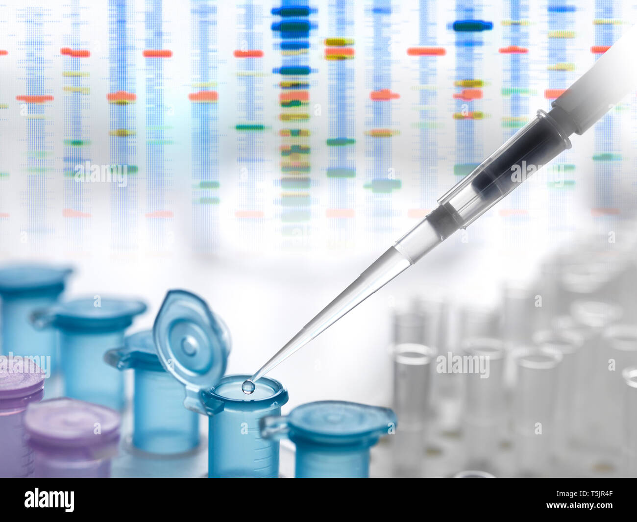 Un campione di DNA essendo pipettati in una provetta eppendorf per l'analisi automatizzata Foto Stock