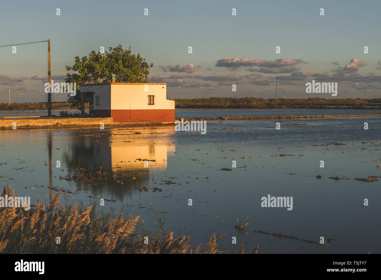 In Spagna, il delta del fiume Ebro, risaie al tramonto Foto Stock