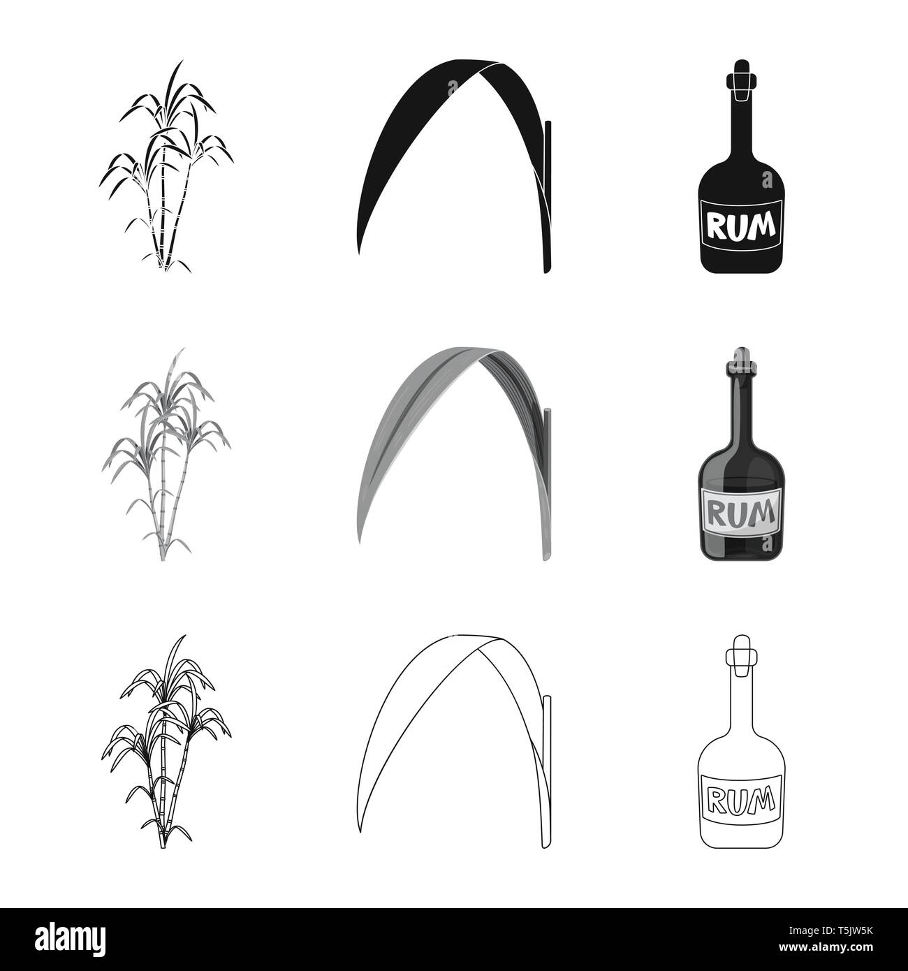 Bush,foglie,rum,palm,verde,bottiglia,crescita,materie,alcol,ramo,materiale vetro,,succhi di frutta,stock,bung,naturale pirata,,pilastro,bere,eco,vintag,AFRICA,capacità,l'india,la fotosintesi,bar,agriturismo,l'agricoltura,saccarosio,technology,la canna da zucchero, di canna da zucchero,,campo,impianto,plantation,impostare,vettore,icona,immagine,isolato,raccolta,design,l'elemento,graphic,segno vettori vettore , Illustrazione Vettoriale