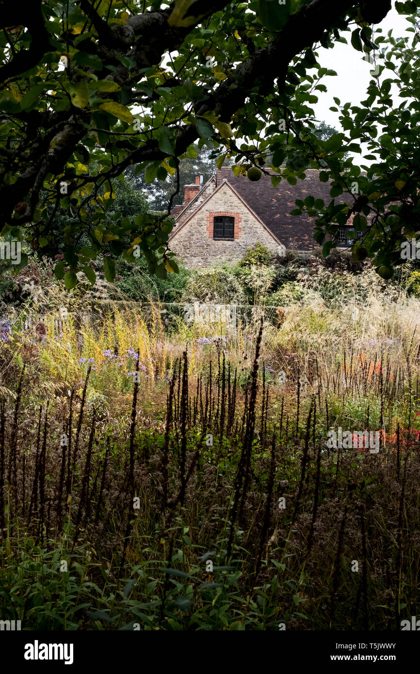 Una prateria schema impianto nel giardino di un hotel, erbe lunghe e fogliame di autunno in un giardino confine. Foto Stock