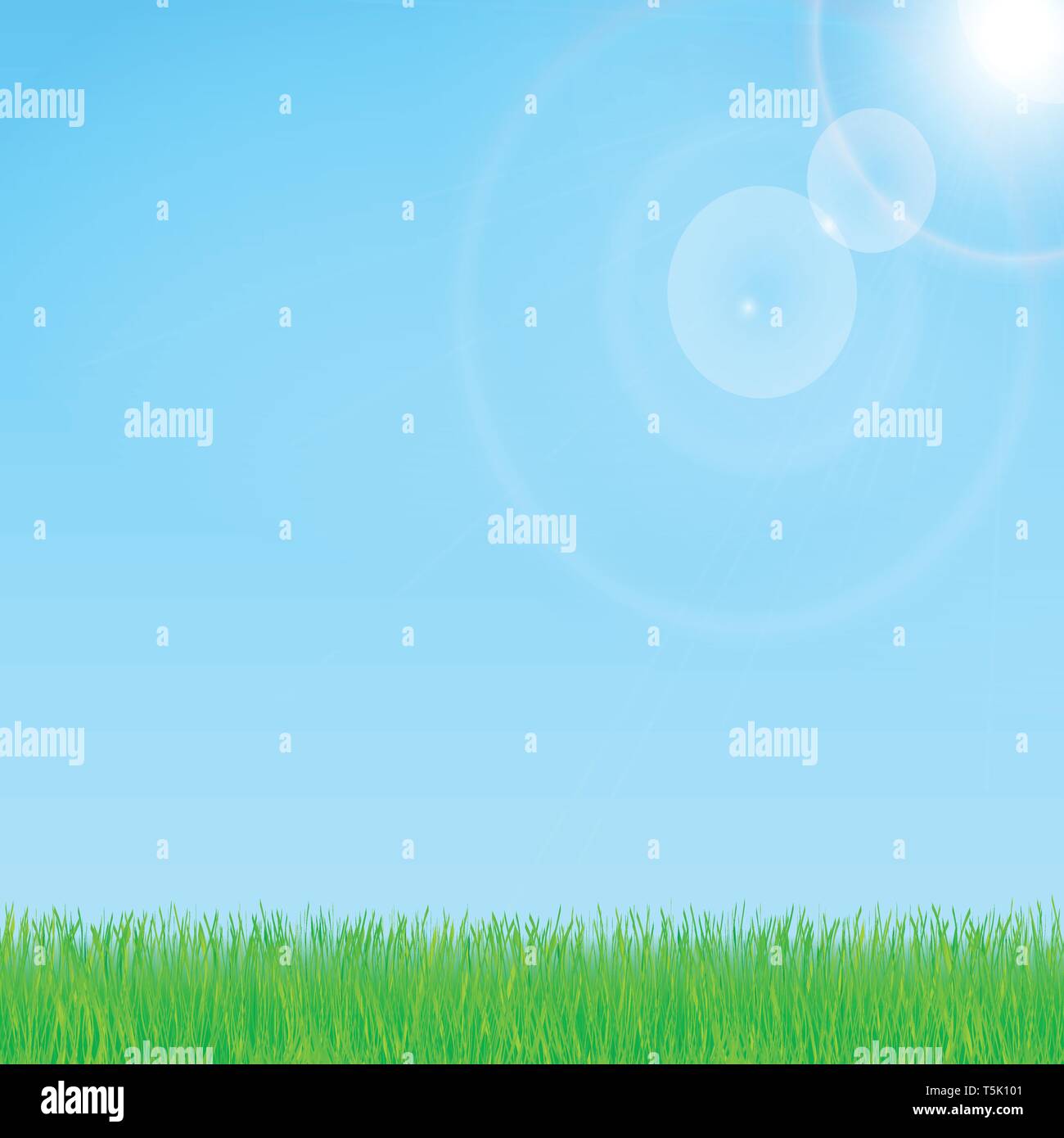 Estate e il design della molla con il sole e l'erba. Blue sky in background. Eps vettoriali 10. Illustrazione Vettoriale