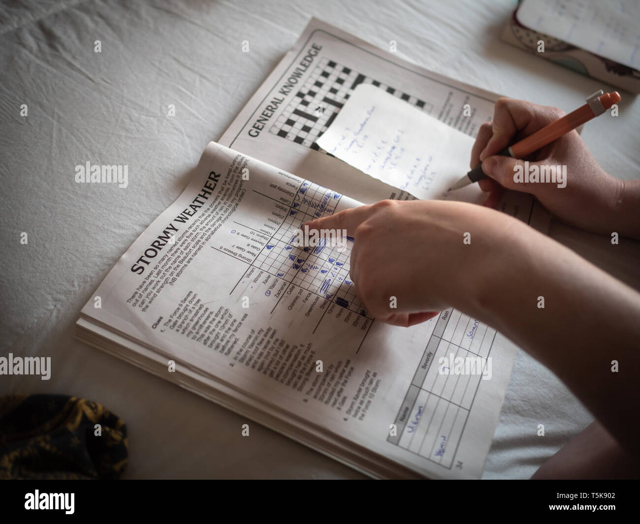 Mani che puntano a una logica puzzle prenota Foto Stock