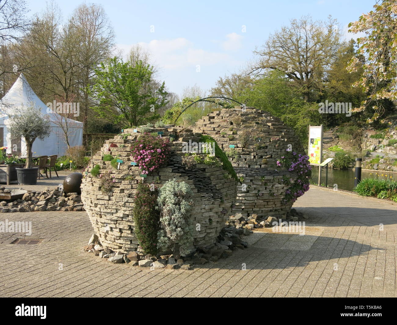 Una grande pietra circolare parete crea un habitat ideale per sedums e succulente a prosperare nella zona del cortile a Utrecht Botanic Gardens Foto Stock