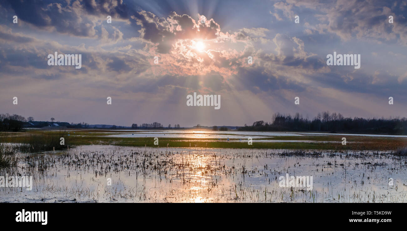 Biebrza Valley (Polonia). Tramonto sul prato umido Foto Stock