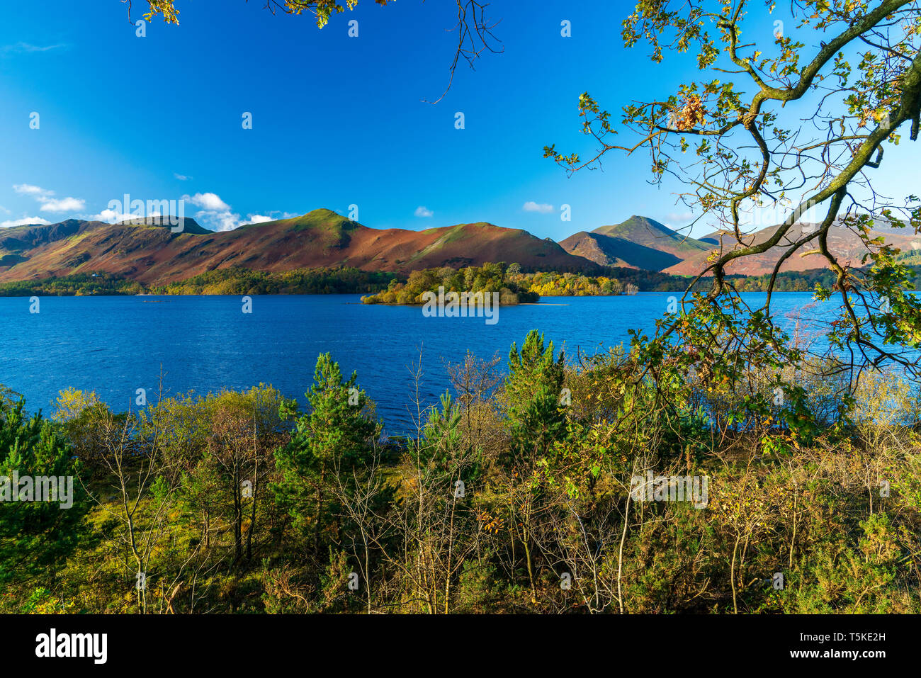 Acqua Darwent, Keswick, Parco Nazionale del Distretto dei Laghi, Cumbria, Regno Unito, Europa. Foto Stock