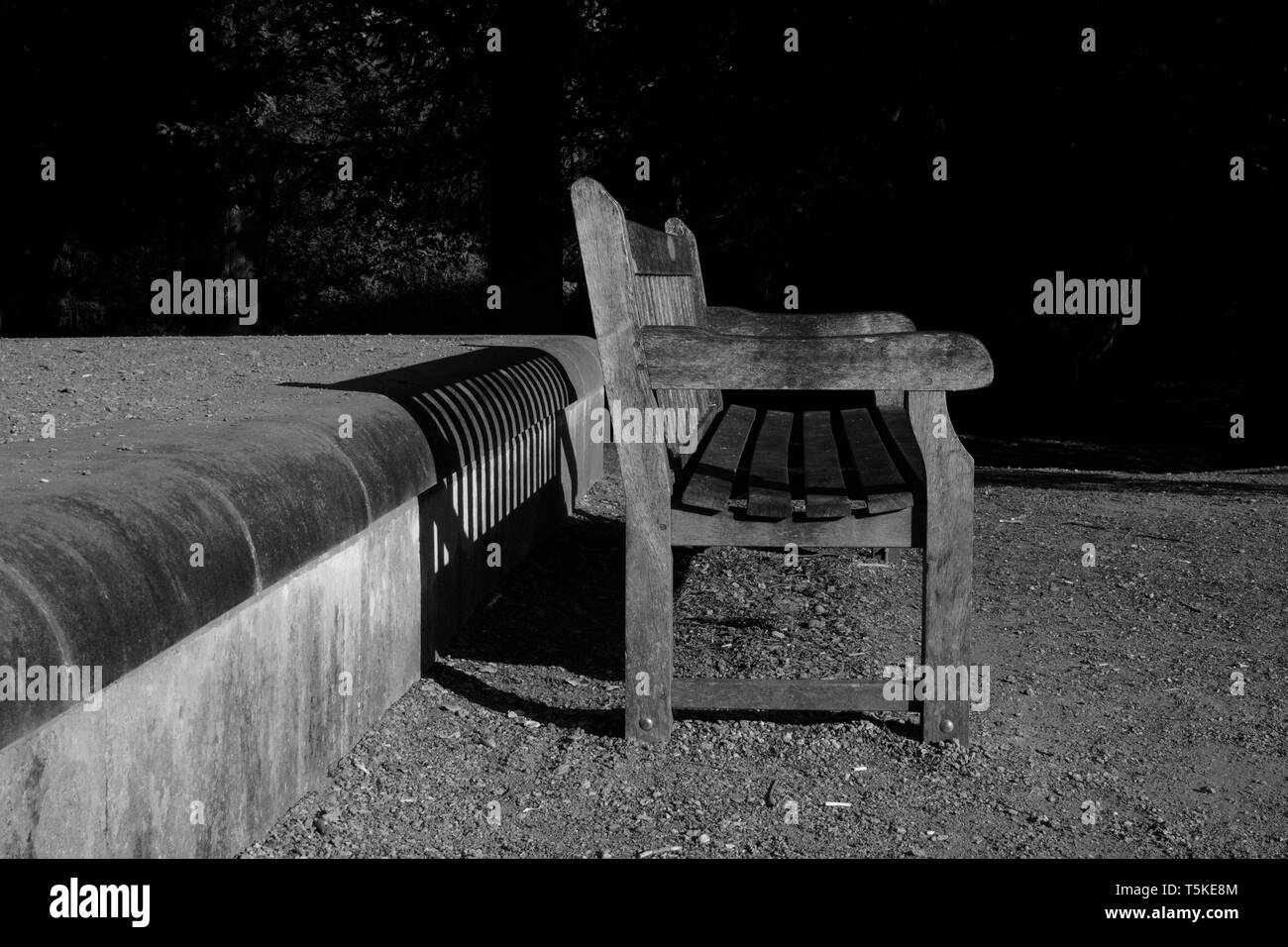 Svuotare una panchina nel parco in bianco e nero Foto Stock