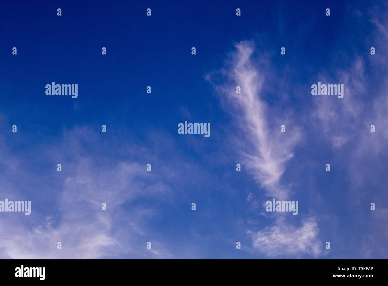 Quasi il cielo pulito nel mezzo di un marzo pomeriggio. Ancora imparare come utilizzare un 'professional' fotocamera. Foto Stock