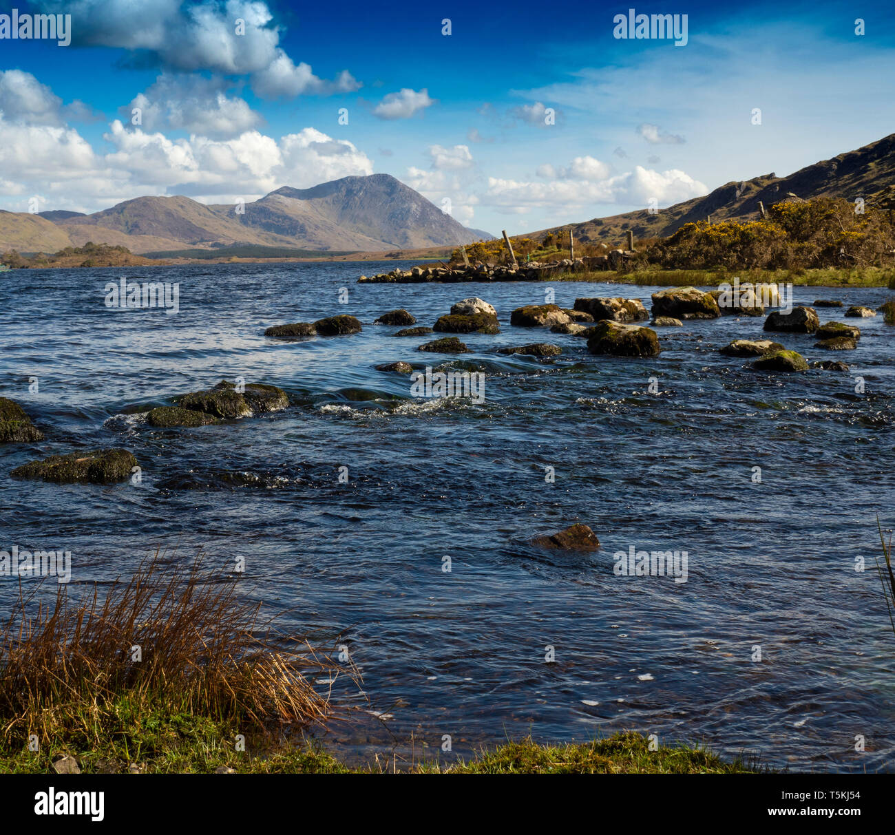 Flusso che scorre dal lago Foto Stock