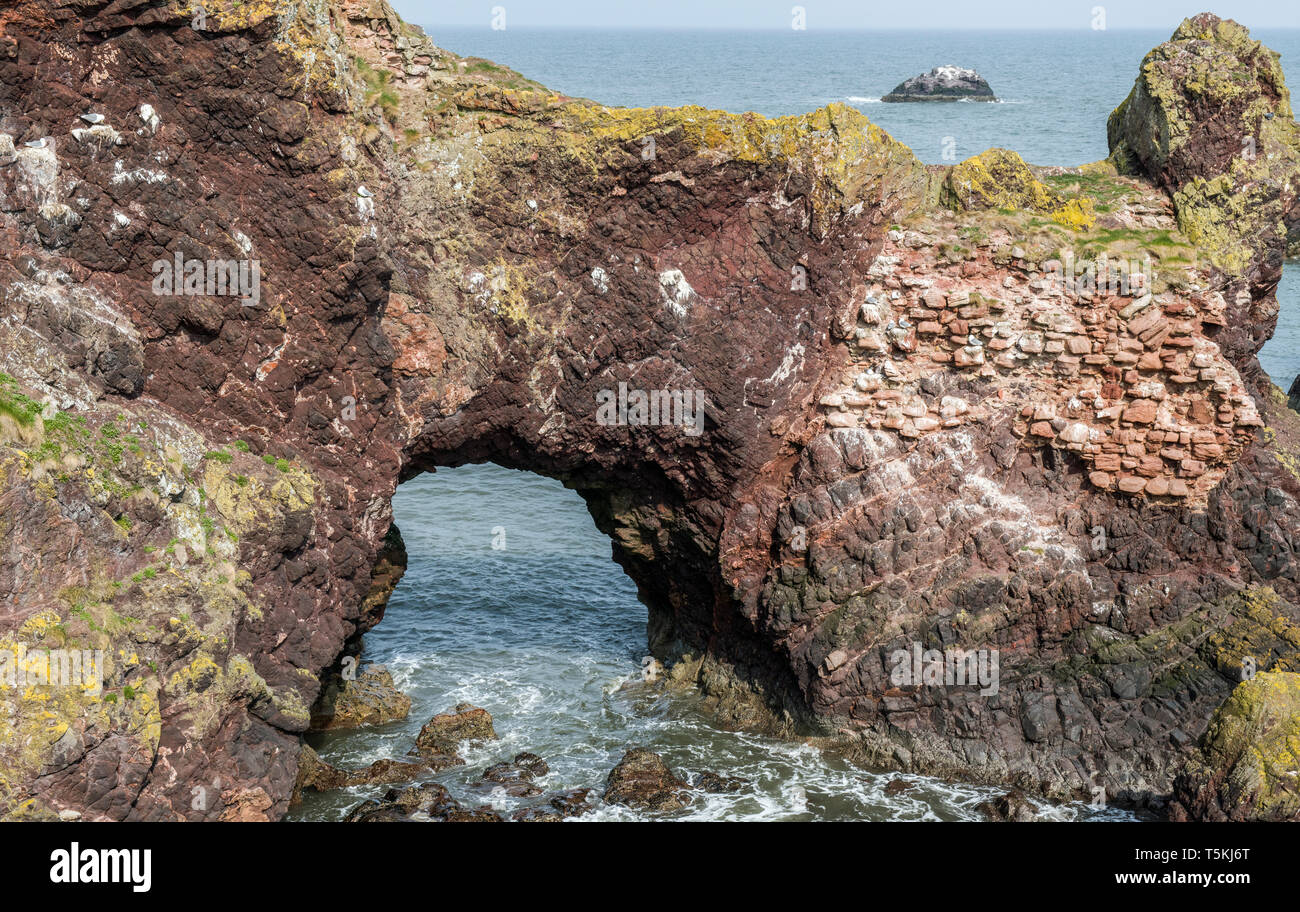 Dunbar Rock Arch, una volta eventualmente una parte dell'ormai del tutto scomparsa Dunbar Castle East Lothian in Scozia Foto Stock