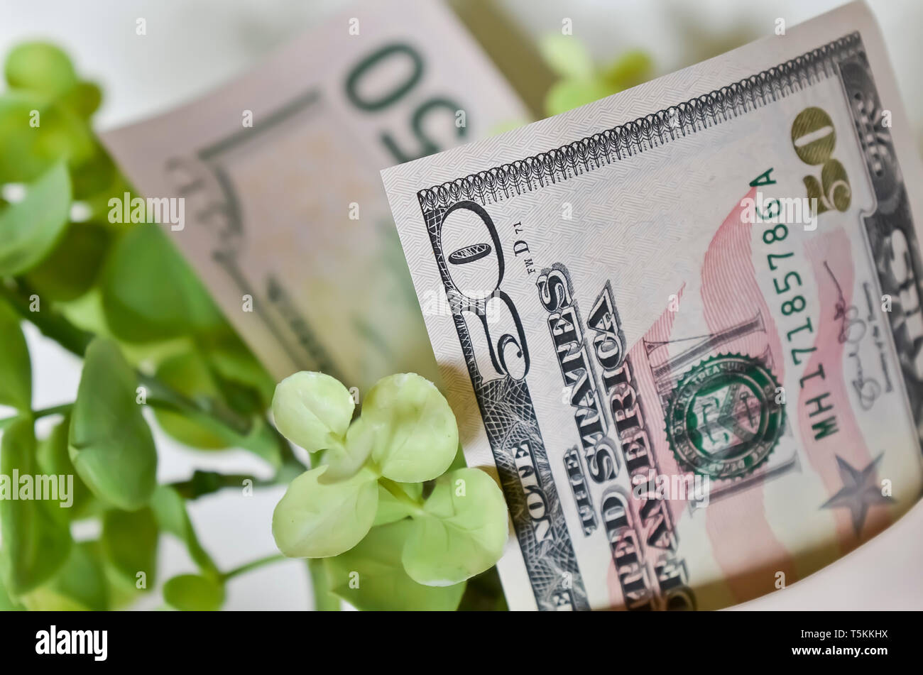 Soldi due cinquanta le fatture del dollaro con foglie di colore verde Foto Stock