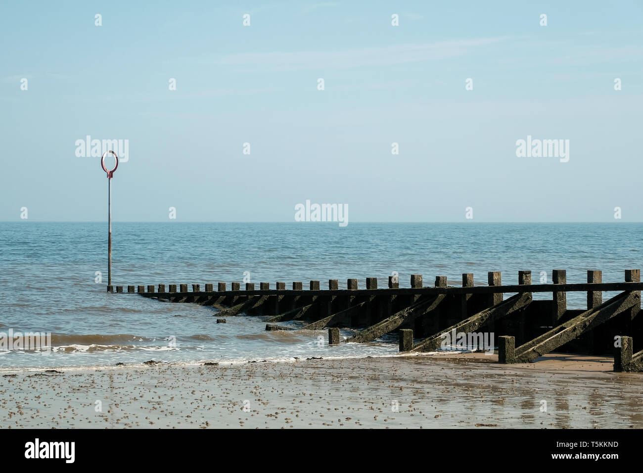 Un mare di legno groyne con un marcatore di circolare alla fine in un giorno caldo di Portobello Beach, East Lothian, Scozia Foto Stock
