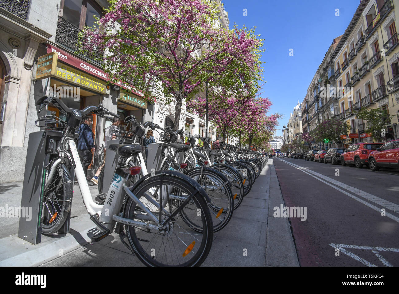 Affitto di biciclette elettriche in una delle strade di Madrid Foto Stock