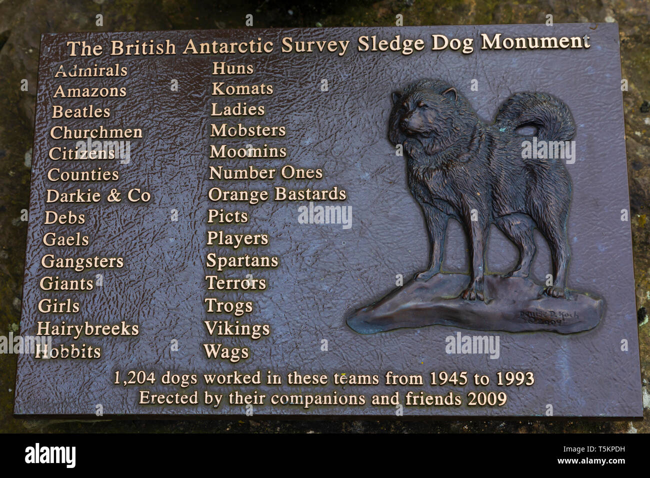 Monumento al cane della slitta il team di Scott antarctic survey presso la Scott Polar Research Institute, Hills Road, Cambridge, Cambridgeshire Foto Stock