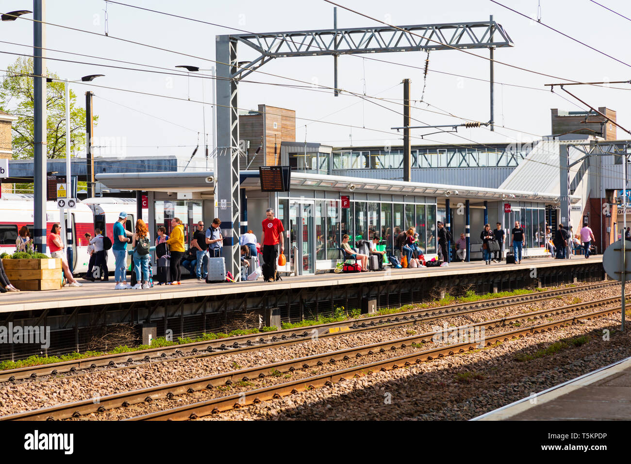 Collegare alla stazione universitaria