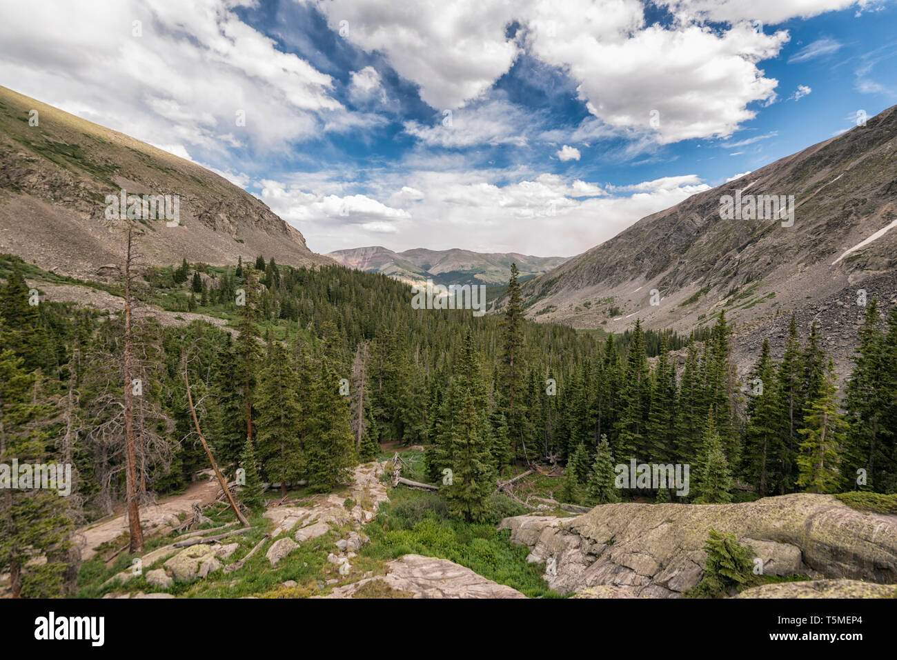 Paesaggio in Colorado Foto Stock
