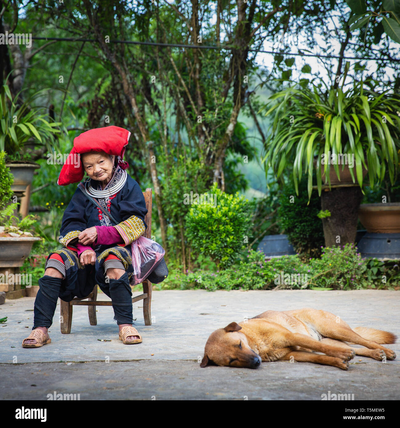 Donna di Red Dzao minoranza etnica Popolo di Sapa, il Vietnam Asia Foto Stock