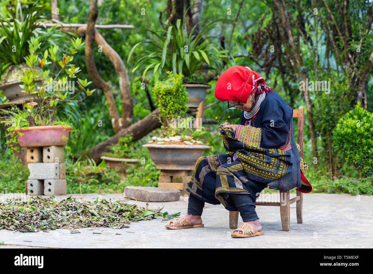 Donna di Red Dzao minoranza etnica Popolo di Sapa, il Vietnam Asia Foto Stock