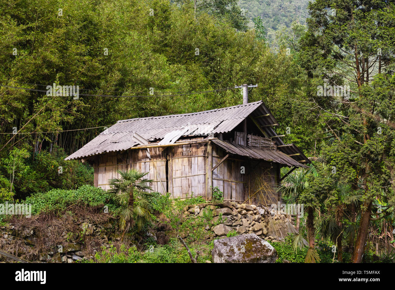 Singola casa famiglia nelle zone rurali a Sapa, il Vietnam Asia Foto Stock