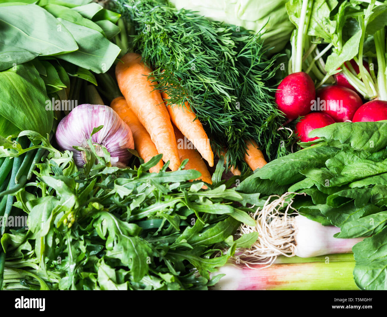 Molla di fresche verdure ed erbe - carote, ramson, Rafano, aneto, aglio, rucola, cipollotti sfondo. Foto Stock
