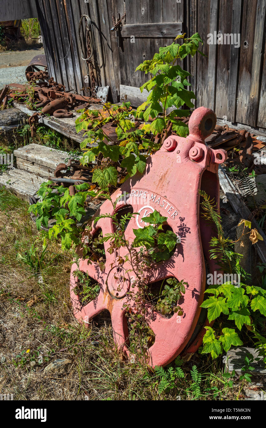 Canada, British Columbia, Port Alberni, McLean Mill National Historic Site, grande della puleggia del cavo Foto Stock