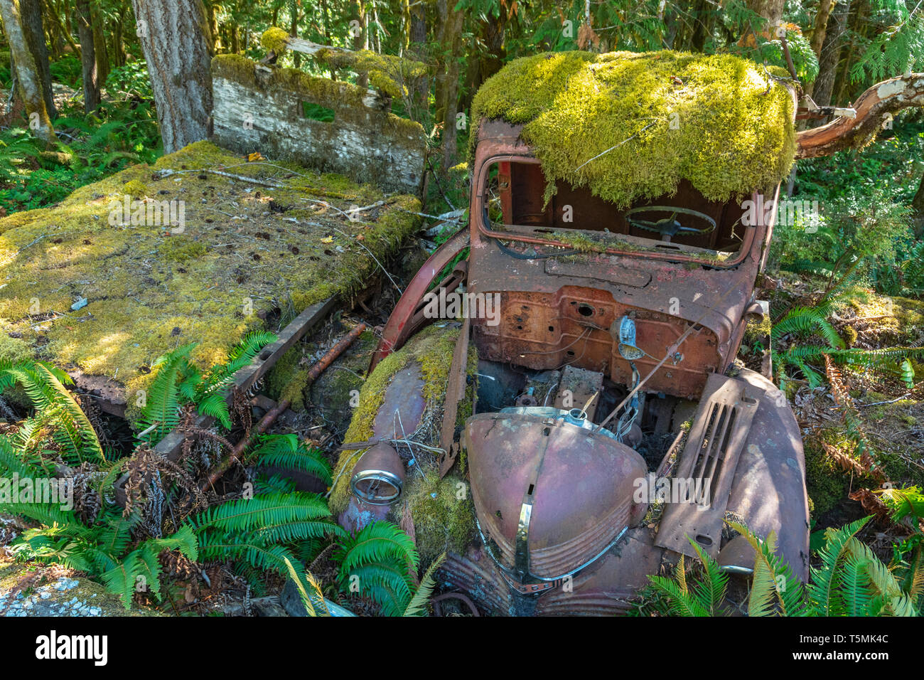 Canada, British Columbia, Port Alberni, McLean Mill National Historic Site, i carrelli abbandonati Foto Stock