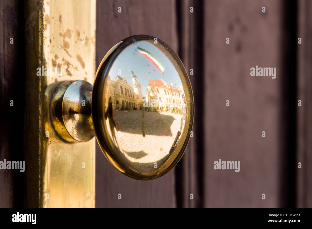 Golden masaneta riflettendo la storica città interna di Sopron, Ungheria Foto Stock