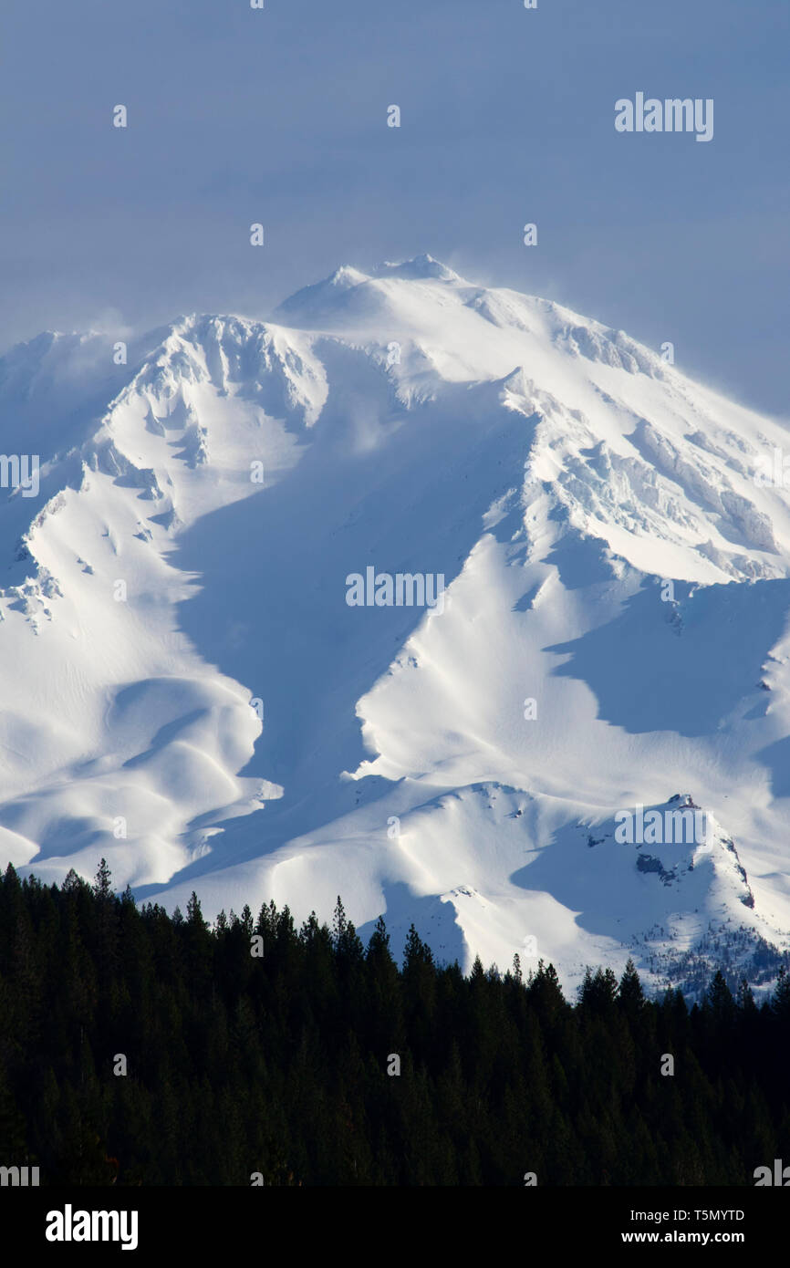 Mount Shasta, Shasta-Trinity National Forest, California Foto Stock